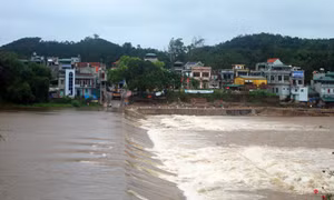 Bão số 1: Quảng Ninh không có thiệt hại về người