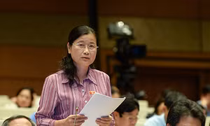 Đoàn ĐBQH tỉnh tham gia thảo luận tại Hội trường