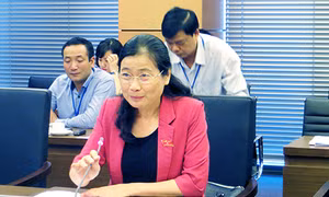 Đoàn Đại biểu Quốc hội tỉnh tham gia thảo luận ở Tổ