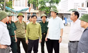 Chủ tịch UBND tỉnh Nguyễn Đức Long kiểm tra công tác phòng, chống bão tại TP Hạ Long