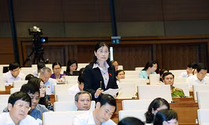 Đoàn ĐBQH tỉnh Quảng Ninh tham gia thảo luận vào dự án Luật Ngân sách nhà nước (sửa đổi)
