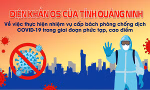 Thực hiện nhiệm vụ cấp bách phòng, chống dịch Covid-19 trong giai đoạn phức tạp, cao điểm