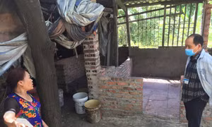 Phản ánh về ô nhiễm môi trường ở Hà Khánh đã được UBND phường xử lý