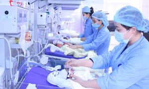 Bệnh viện Sản Nhi Quảng Ninh thông báo tuyển dụng hợp đồng lao động năm 2020