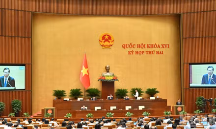 Quốc hội làm việc tại hội trường nghe Tờ trình và Báo cáo thẩm tra dự án Luật Kinh doanh bất động sản (sửa đổi). (Ảnh: DUY LINH)