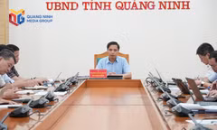 UBND tỉnh cho ý kiến đối với một số dự án