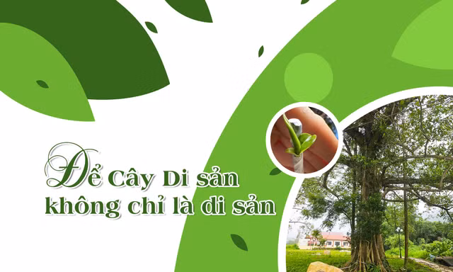Vùng đất giàu tài nguyên