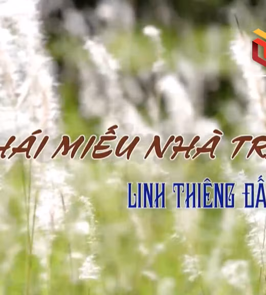 Thái Miếu nhà Trần - Linh thiêng Đất Tổ