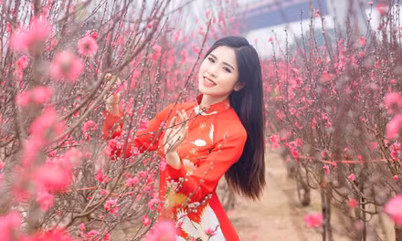 Bộ Nội vụ thông báo lịch nghỉ Tết Nguyên đán Đinh Mùi 2027