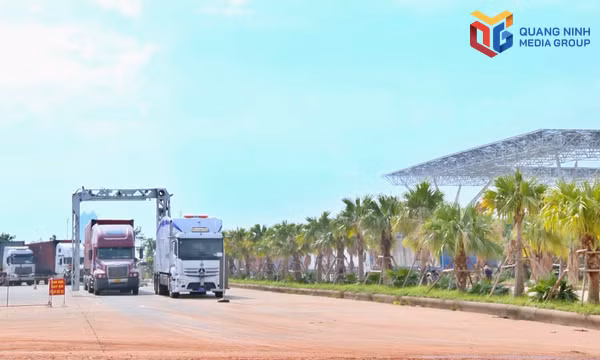 Hải quan khu vực VIII tăng cường chuyển đổi số