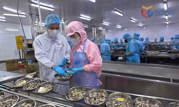 Doanh nghiệp chế biến nông sản: Chủ động chuyển hướng trong bối cảnh khan hiếm nguyên liệu 