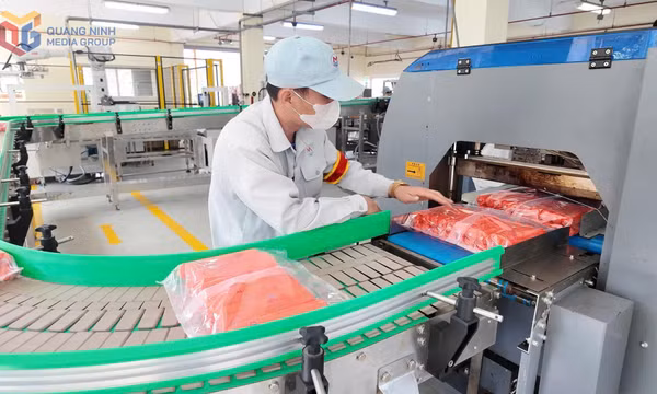 Nâng cấp dây chuyền sản xuất vật liệu nổ công nghiệp của TKV