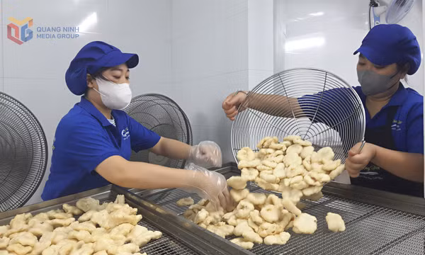 An toàn vệ sinh thực phẩm trong sản xuất, chế biến nông nghiệp: Chuyển đổi cả nhận thức và hành động