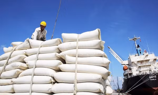 Từ 1/10, điều kiện kinh doanh xuất khẩu gạo thay đổi thế nào?