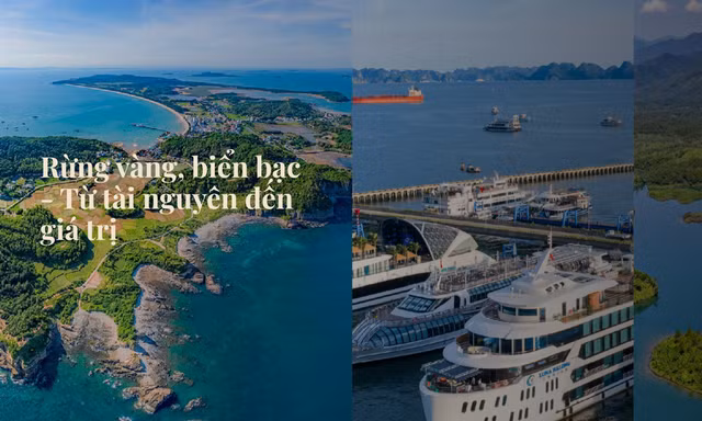 Rừng vàng, biển bạc - Từ tài nguyên đến giá trị