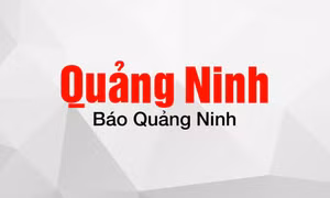 Yên Hưng: Ra quân làm thuỷ lợi đầu Xuân