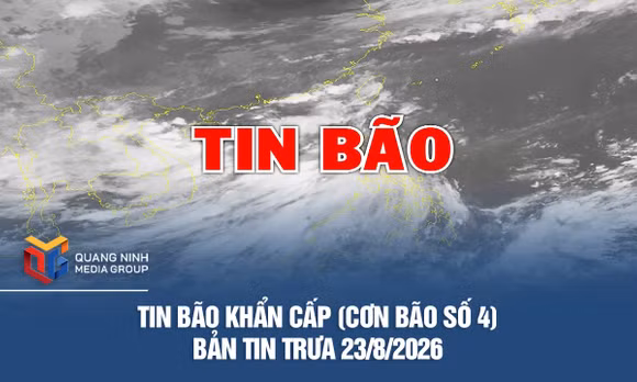 Tin bão khẩn cấp (Cơn bão số 4): Bản tin trưa 23/8/2026