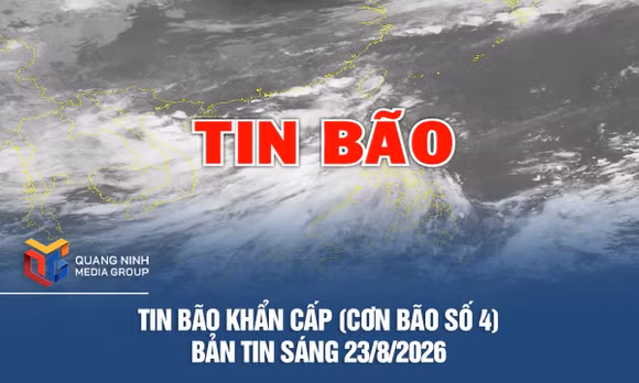 Tin bão khẩn cấp (Cơn bão số 4): Bản tin sáng 23/8/2026