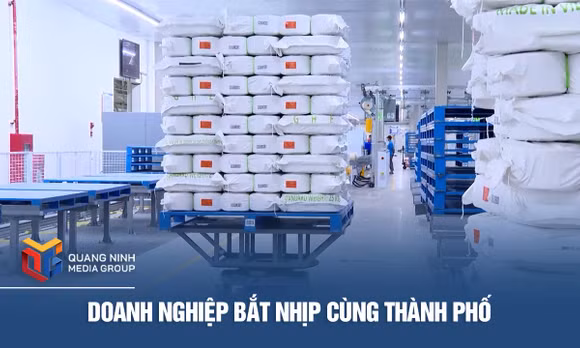Doanh nghiệp bắt nhịp cùng thành phố