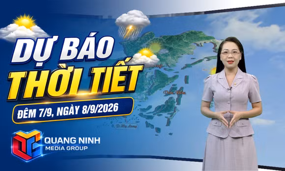 Dự báo thời tiết đêm 7, ngày 8/9/2026