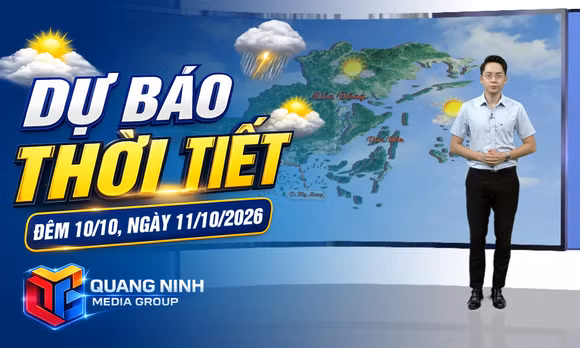 Dự báo thời tiết đêm 10, ngày 11/10/2026