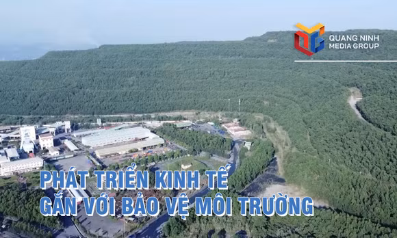 Phát triển kinh tế gắn với bảo vệ môi trường