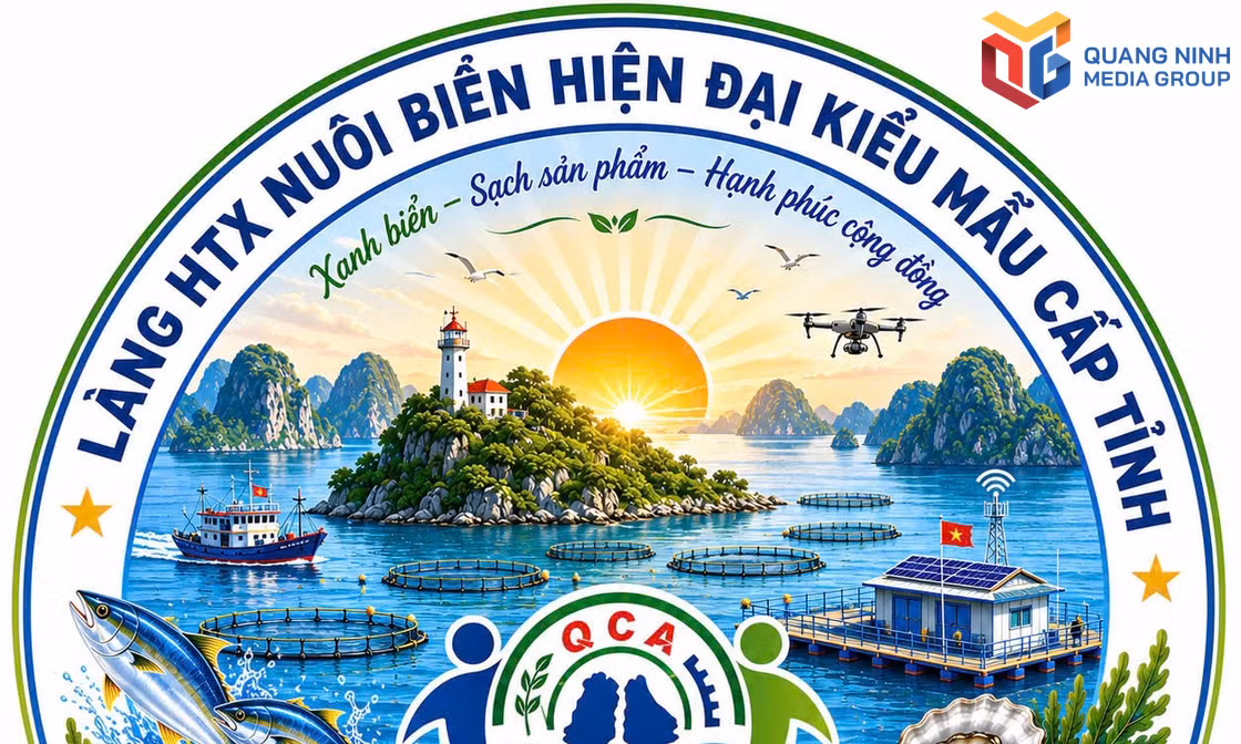 Nghiên cứu xây dựng Đề án Làng Hợp tác xã nuôi biển hiện đại kiểu mẫu cấp tỉnh tại đảo Ông Cụ