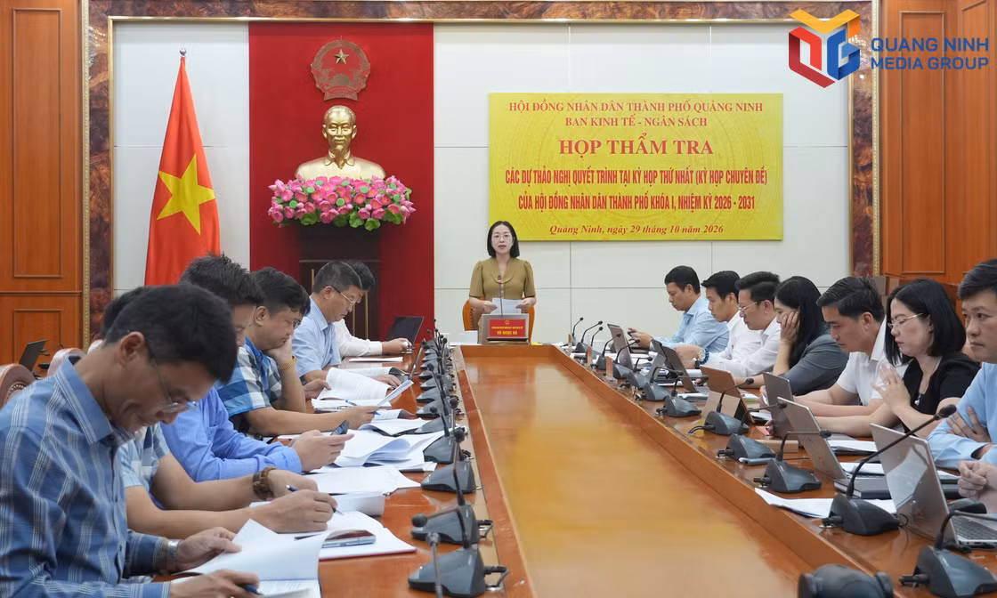 Thẩm tra các tờ trình, dự thảo nghị quyết