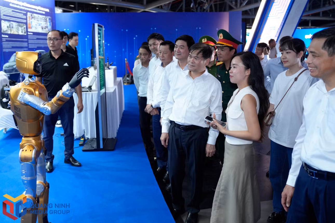 bqn_bl_dp-6205.jpg