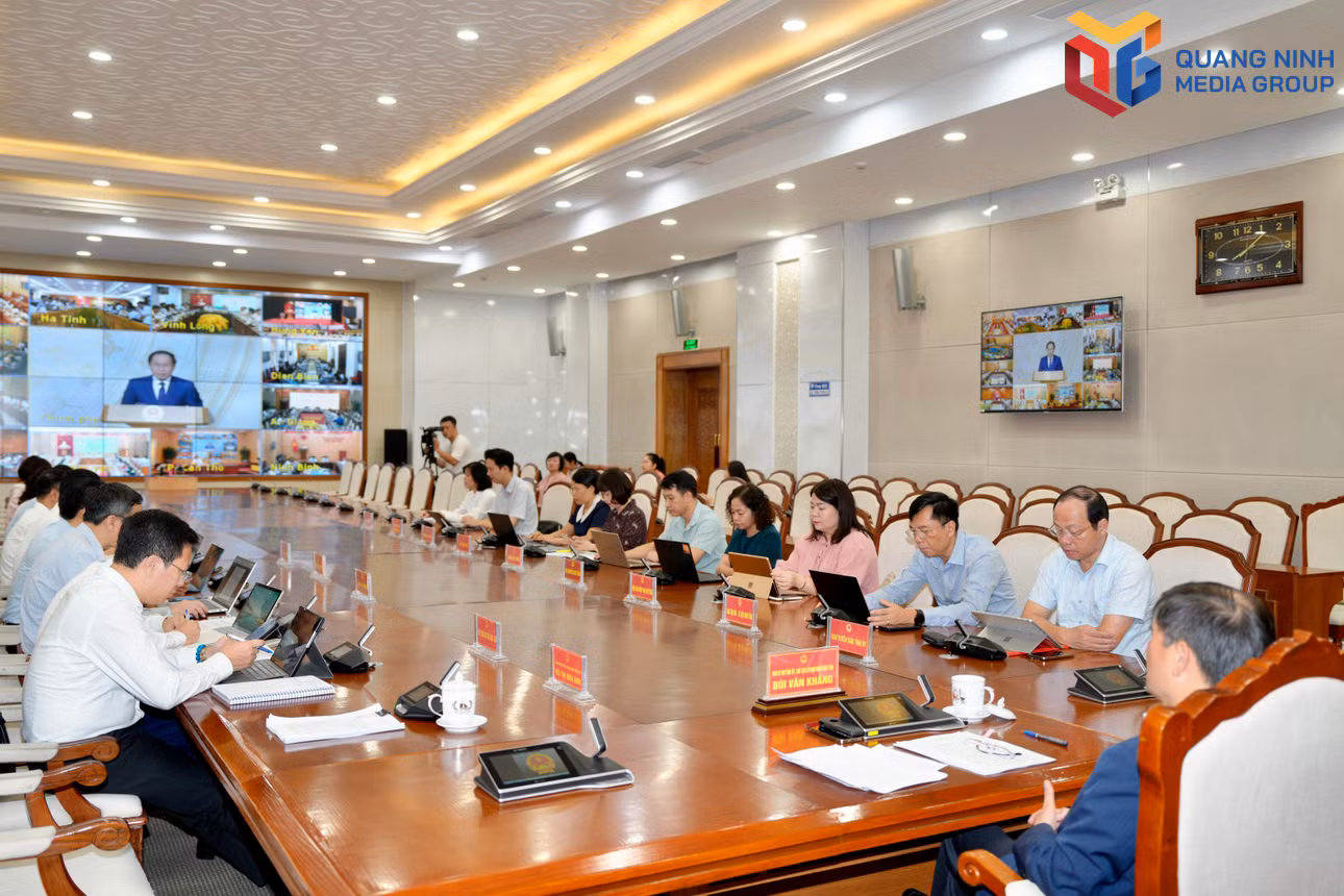 bqn_tr_dp-6077.jpg