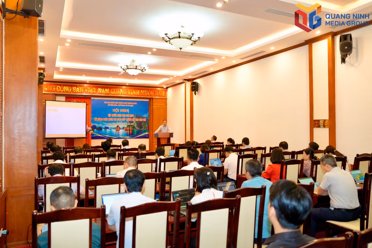 bqn_tr_dp-9482.jpg