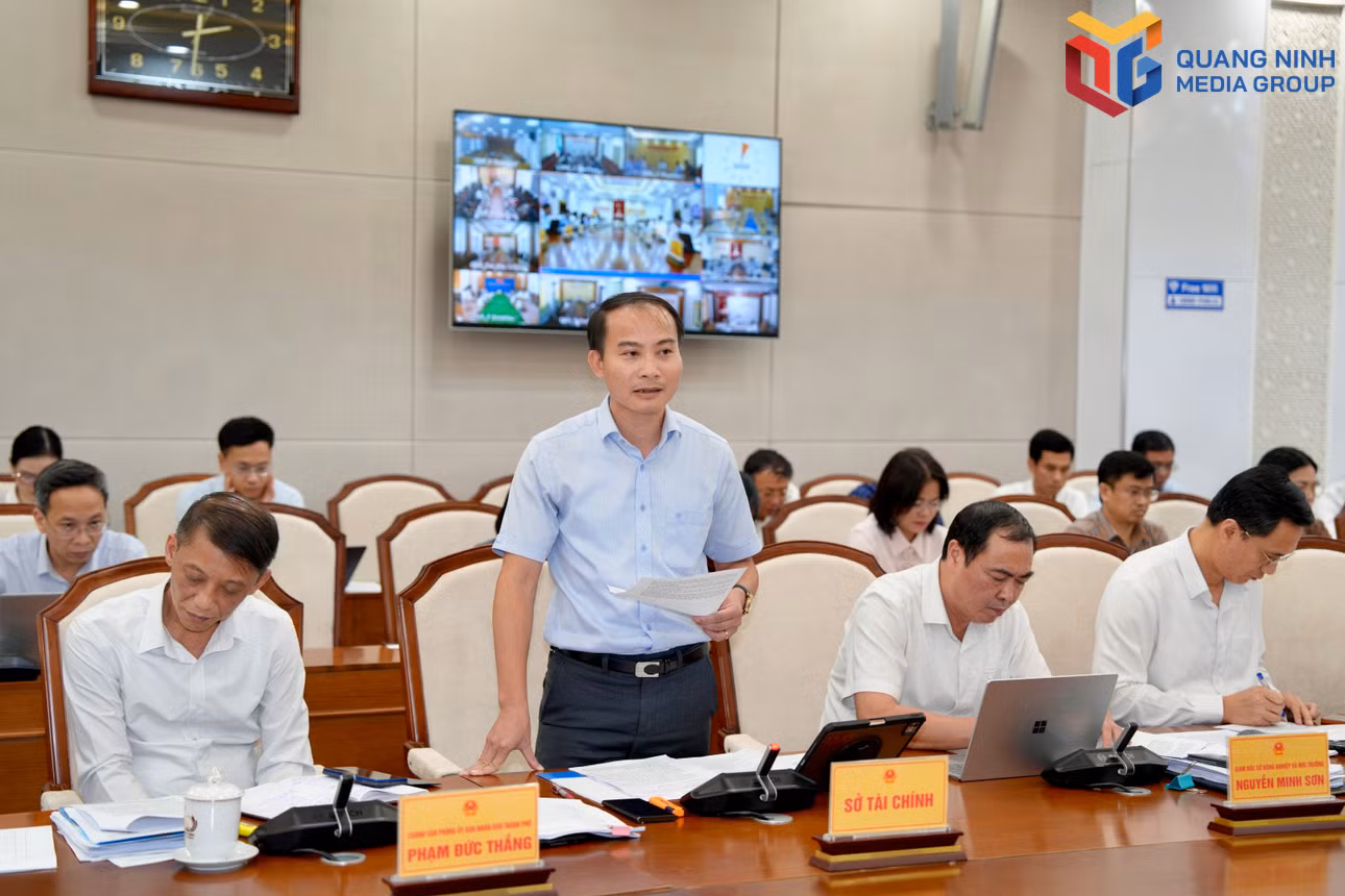 Lãnh đạo Sở Tài chính báo cáo kết quả phát triển kinh tế - xã hội.