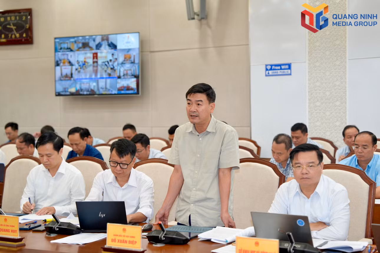 bqn_tr_dp-9818.jpg