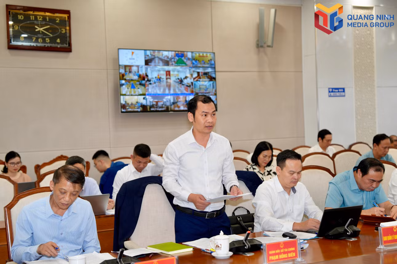 bqn_tr_dp-6035.jpg