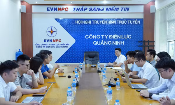 Đoàn công tác Công ty Vận hành Hệ thống điện và Thị trường điện quốc gia làm việc tại Công ty Điện lực Quảng Ninh