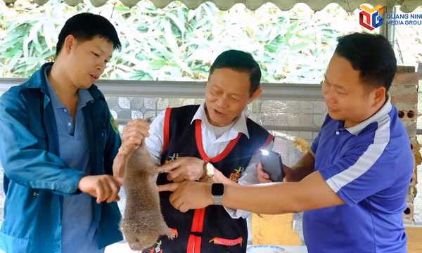 Người có uy tín - Điểm tựa nơi vùng cao