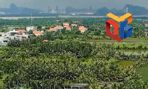 Khám phá góc xanh tại Đầm Sen Quảng Yên