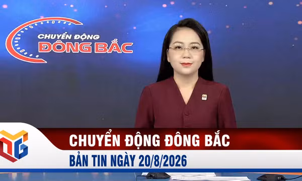 Chuyển động Đông Bắc ngày 20/8/2026