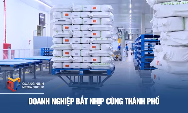 Doanh nghiệp bắt nhịp cùng thành phố