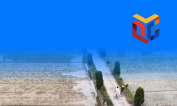 Hành trình du lịch xanh ở làng quê Yên Khánh