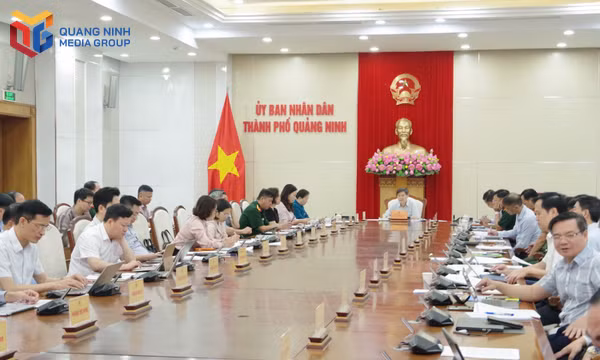 Quảng Ninh bảo đảm chặt chẽ công tác chuẩn bị diễn tập khu vực phòng thủ