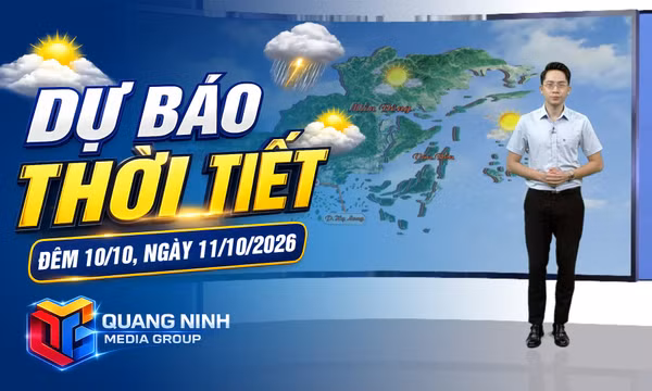 Dự báo thời tiết đêm 10, ngày 11/10/2026