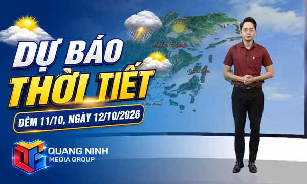 Dự báo thời tiết đêm 11, ngày 12/10/2026