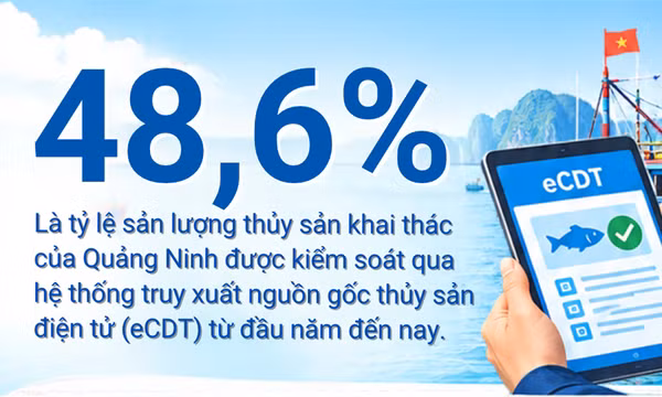 48,6% – là tỷ lệ sản lượng thủy sản khai thác tại Quảng Ninh được kiểm soát qua hệ thống eCDT từ đầu năm đến nay