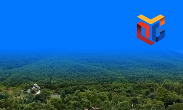 Khám phá mô hình khu du lịch dưới tán rừng