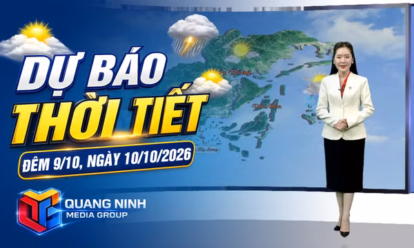 Dự báo thời tiết đêm 9, ngày 10/10/2026