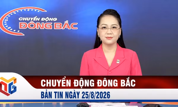 Chuyển động Đông Bắc ngày 25/8/2026