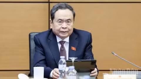 Chủ tịch Quốc hội Trần Thanh Mẫn phát biểu tại tổ. (Ảnh: DUY LINH)