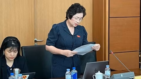 Đại biểu Lò Thị Luyến, Phó Trưởng Đoàn đại biểu Quốc hội chuyên trách tỉnh Điện Biên. (Ảnh: TL)