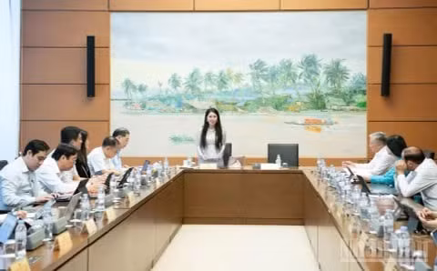 Quang cảnh phiên thảo luận ở Tổ 3. (Ảnh: DUY LINH)